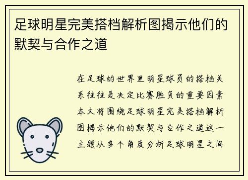 足球明星完美搭档解析图揭示他们的默契与合作之道